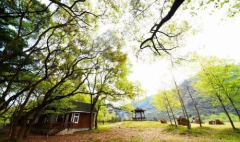 暖风迎，春意盎然！九都的每一处风景，都是一首诗-3.jpg