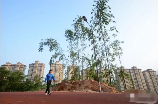 各大公园游玩攻略在此！不能出门的，跟随小编眼睛去旅游-21.jpg