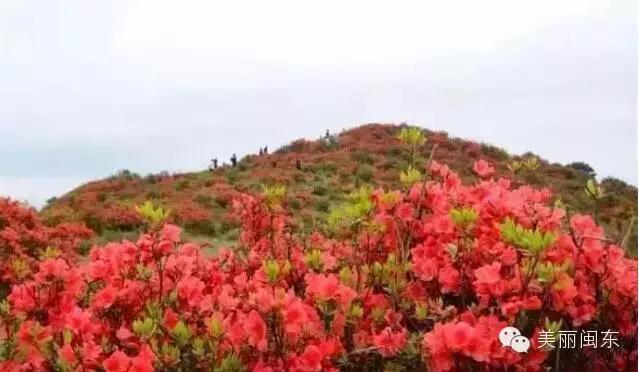 旅游丨宁德各地山海露营圣地盘点，慢游清新宁德（上）-6.jpg