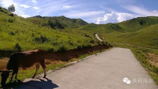 旅游丨宁德各地山海露营圣地盘点，慢游清新宁德（上）-3.jpg