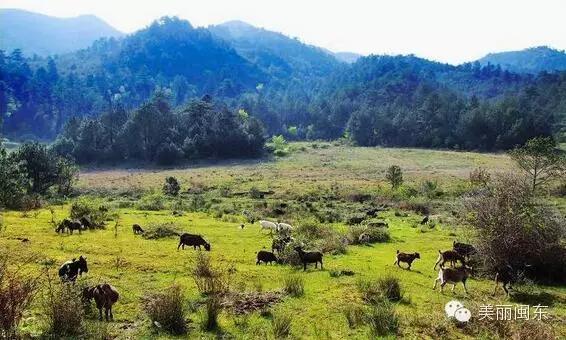 旅游丨宁德各地山海露营圣地盘点，慢游清新宁德（上）-19.jpg