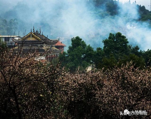 宅家也能去旅行，大梦君带你打卡春季最值得浪的景点！-6.jpg