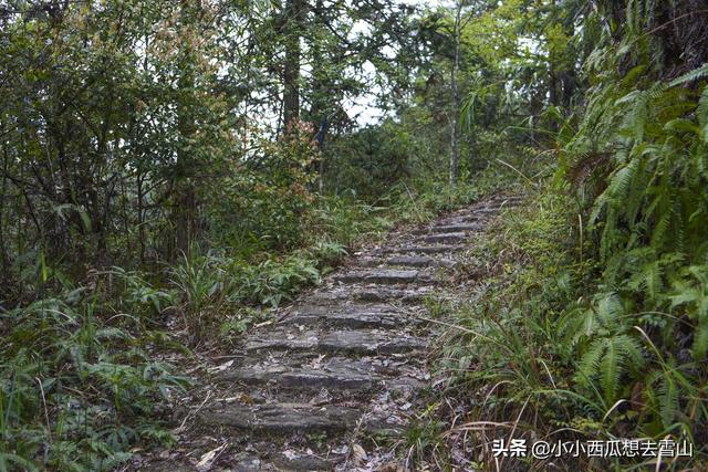 福建宁德这地，一湾峡谷五座廊桥都未开发，被誉为“闽东小九寨”-3.jpg