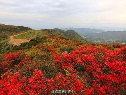 宁德有处原生秘境，此时的风光堪比瑞士！只有1%的人知道~-10.jpg