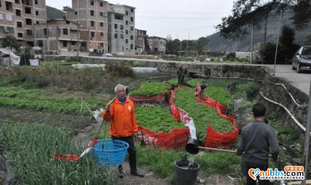 农时不等人，八都镇战疫情、备春耕、播种新希望-3.jpg