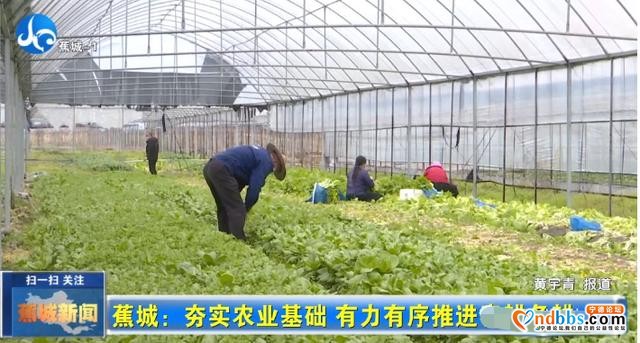 雨水至春耕忙！蕉城各地抓机遇，全力保障农业生产有序进行-1.jpg