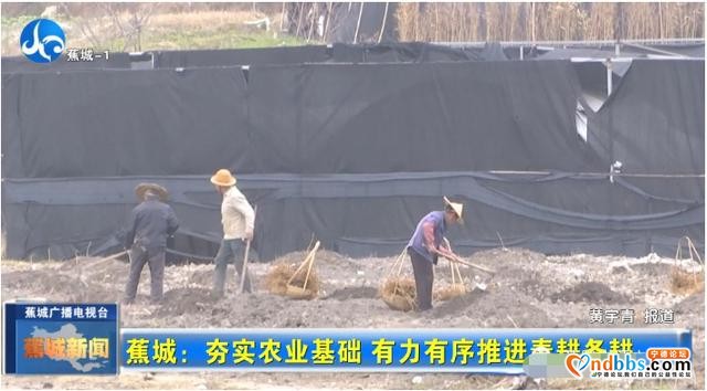 雨水至春耕忙！蕉城各地抓机遇，全力保障农业生产有序进行-3.jpg