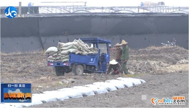 雨水至春耕忙！蕉城各地抓机遇，全力保障农业生产有序进行-7.jpg