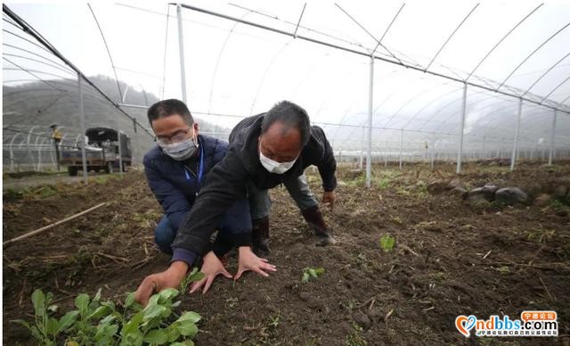 蕉城蔬菜种植基地春耕“动”起来，守护百姓“菜篮子”-4.jpg