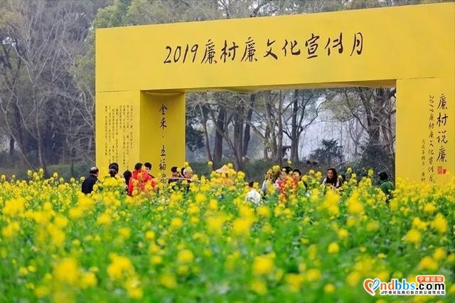 宁德之旅 | ?从1月到12月，畅玩宁德一整年-11.jpg