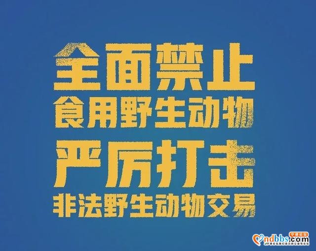 【检察战“疫” 】非法猎捕、杀害野生动物！福鼎检察一天内受理1起、起诉1起-3.jpg