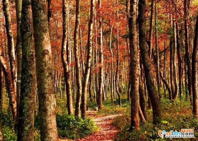 「边疆时空」风情 | 到宁德旅行，这些地方值得一去-9.jpg