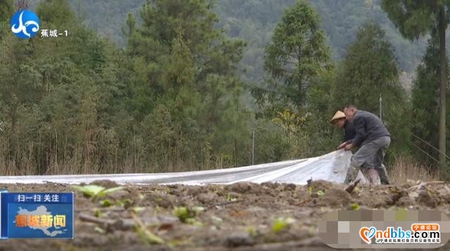 质不减，量反增！保障市民“菜篮子”蕉城区这么做-4.jpg