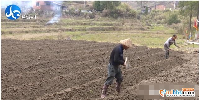 质不减，量反增！保障市民“菜篮子”蕉城区这么做-11.jpg