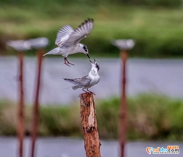 玩转宁德！带你在霞浦从日出游玩到日落……-4.jpg