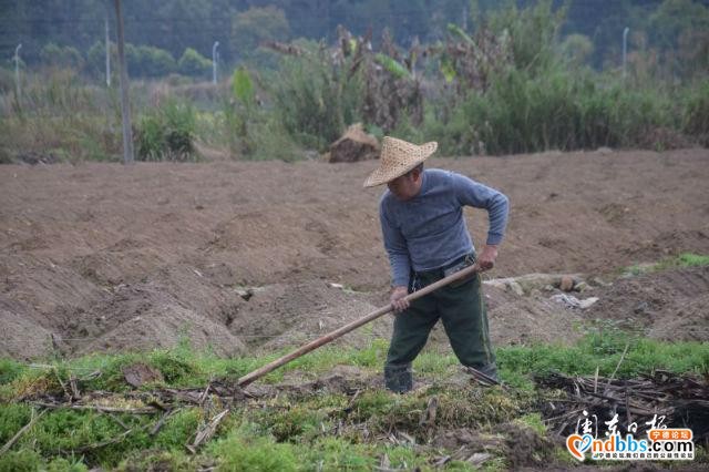 蕉城赤溪：按下生产“快进键”不负春耕好时节-1.jpg