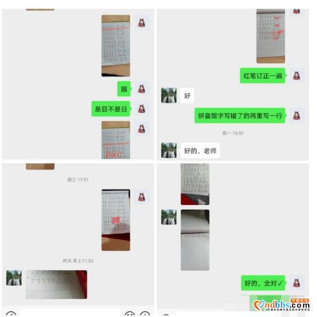 封闭的管理，开放的课堂——九都中心小学“停课不停学”-16.jpg