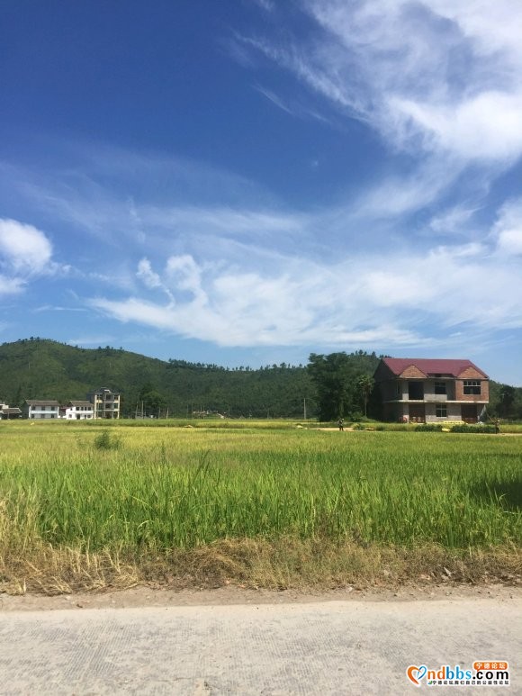 每日更新，宁德摩旅骑行进西藏，欢迎交流！-1.jpg