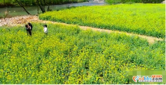 踏青赏花正当时，带你去看霍童的“花花世界”-1.jpg