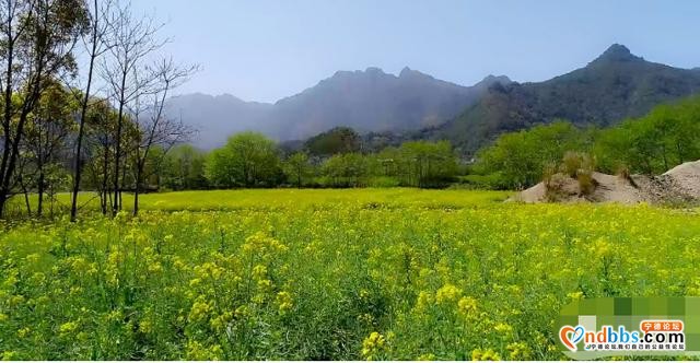 踏青赏花正当时，带你去看霍童的“花花世界”-3.jpg