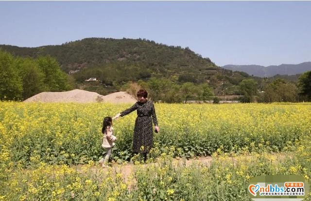 踏青赏花正当时，带你去看霍童的“花花世界”-5.jpg