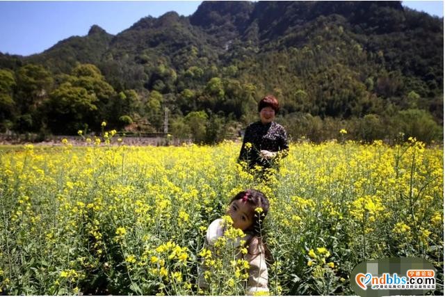 踏青赏花正当时，带你去看霍童的“花花世界”-4.jpg