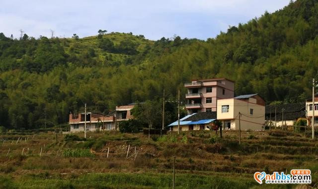 旅游小镇 | 来宁德，与这座仙境古村共赴一场诗情画意的约会-9.jpg