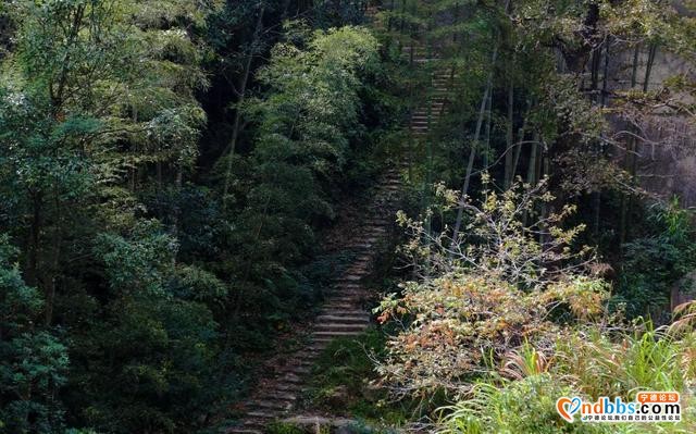 旅游小镇 | 来宁德，与这座仙境古村共赴一场诗情画意的约会-10.jpg