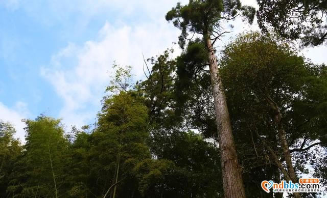 旅游小镇 | 来宁德，与这座仙境古村共赴一场诗情画意的约会-18.jpg