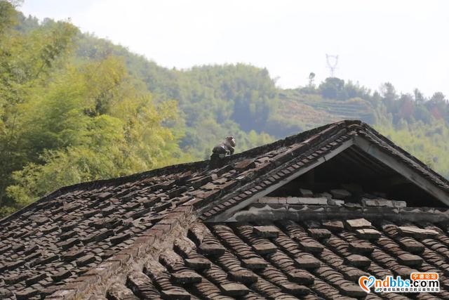 在地图上难以寻见的宁德小村，藏着这样的景色？-1.jpg