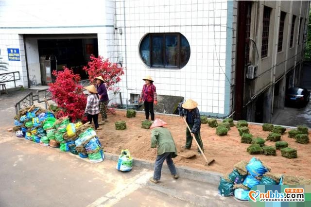 中心城区开启“美颜”模式，让市民生活更舒心-4.jpg