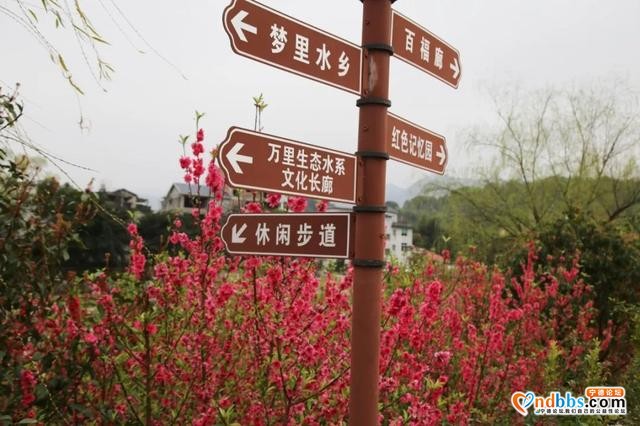 宁德之旅 | 三月的洋中古镇：一起去看桃花林与油菜花田-5.jpg