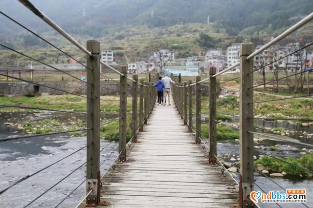 宁德之旅 | 三月的洋中古镇：一起去看桃花林与油菜花田-11.jpg