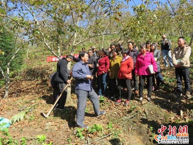 福建宁德出台13条措施 为脱贫攻坚提供组织保障-3.jpg