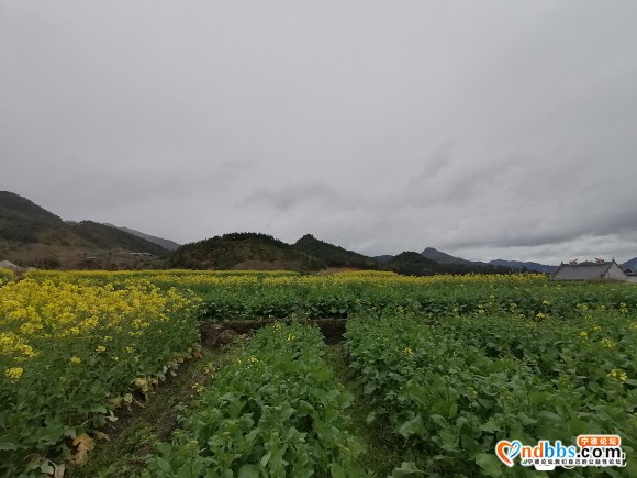 这天气，动不动就下雨，无聊啊-5.jpg