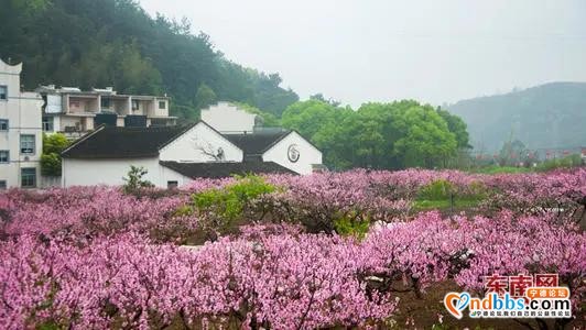 宁德第二批旅游小镇名单出炉，清明小长假走起-6.jpg