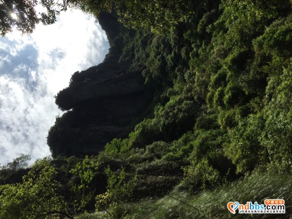 宁德 虎贝镇 文峰村不知名的景点-7.jpg