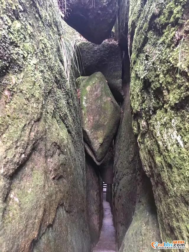 宁德旅游攻略｜惊讶于太姥山怪石嶙峋，沉醉在滩涂美景中-14.jpg