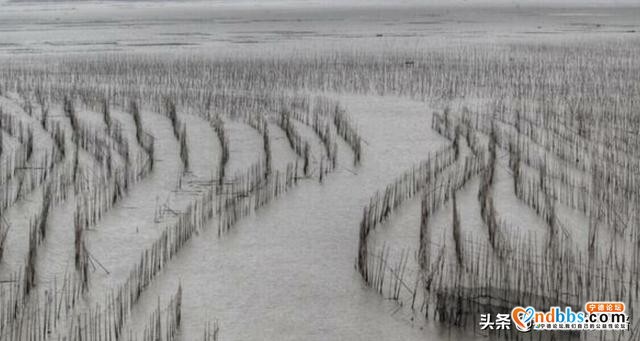 福建宁德旅游必去景点:6个景点中那个最值得一去的是不是第一个？-6.jpg