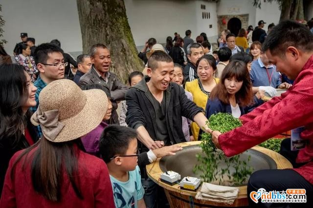 宁德两条茶旅线路上榜全国茶乡旅游精品线路，来看看-4.jpg