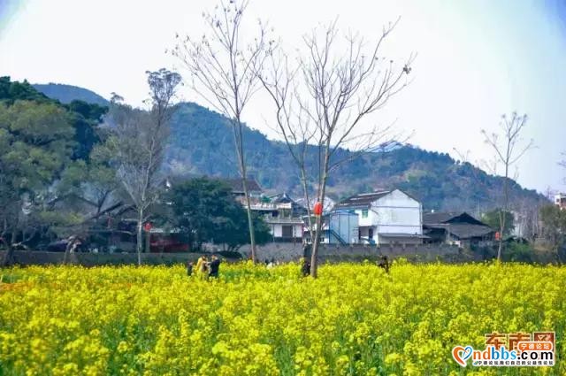 2019宁德最美旅行日历出炉，每个月的风景都让人惊艳！-11.jpg