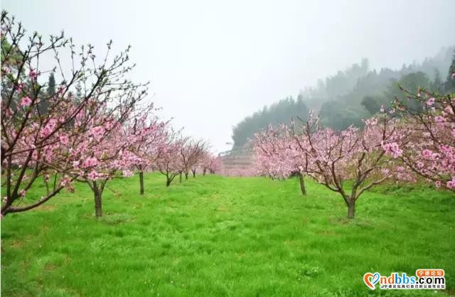 2019宁德最美旅行日历出炉，每个月的风景都让人惊艳！-19.jpg