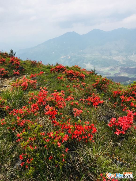 徒步宁德第一旗山-5.jpg