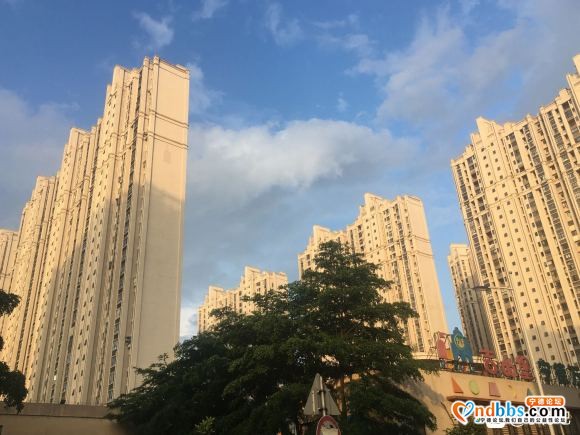 谁知道丽景阳光那边的地摊要怎么申请-1.jpg