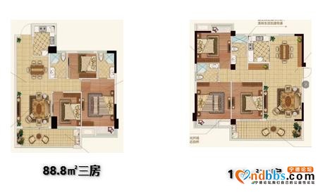 宁德2020春节后首度开盘又“日光”，中签率不足15%！-4.jpg