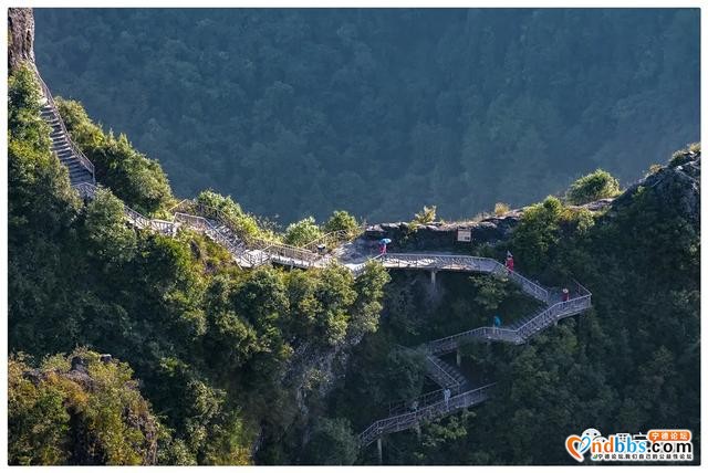 定了！宁德仅一个！周宁陈峭景区荣获2020年“清新福建·气候福地”避暑清凉福地，走起-17.jpg