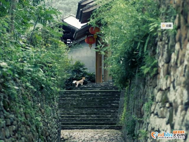 隐藏在宁德福安的状元村，竟然是个旅游胜地，全天免费不需要门票-2.jpg