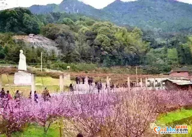 旅游丨盘点宁德各地最具人气休闲农家乐！-1.jpg