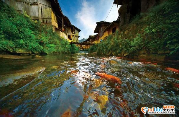 2020想去中国宁德旅游的景点：霍童镇，东壁村，鲤鱼溪，犀溪镇-2.jpg