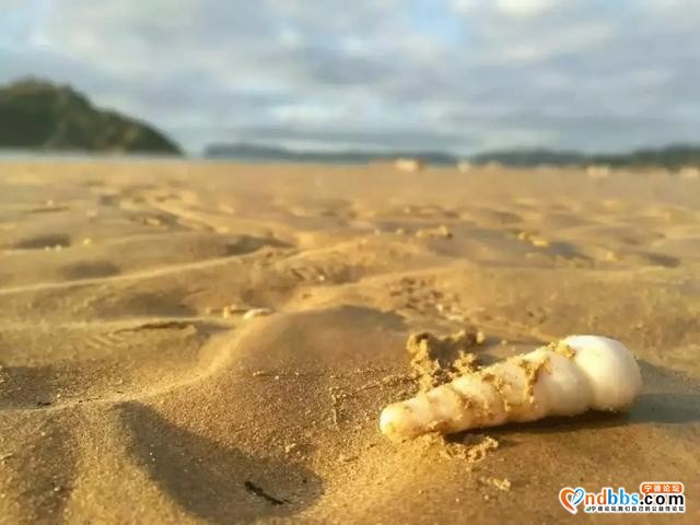 周末周边游 | 出海捕鱼+星空露营+绝美海景，周末去这个海滩度假刷爆朋友圈-7.jpg